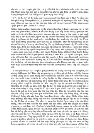 Dinh Dưỡng Học Bị Thất Truyền | 52
chế của cơ thể, chuyên giải độc, xử lý chất thải, là vệ sĩ cho hệ tuần hoàn của cả cơ
thể. Quan trọng hơn thế, gan là trung tâm vận chuyển các dòng vật chất và dòng năng
lƣợng trong cơ thể. Bạn thấy gan có quan trọng hay không?
Từ “vị trí địa lý”, có thể thấy gan vô cùng quan trọng. Gan nằm ở đâu? Nó nằm phía
bên phải trong ổ bụng (Hình 14), ở phía dƣới xƣơng ức và nghiêng về bên phải. Chẳng
phải những ai hay cáu gắt tức giận đều thấy khó chịu ở vùng này? Dân gian có câu
“giận quá hại gan”, chính là vị trí này!
Những thức ăn chúng ta đƣa vào cơ thể sẽ đƣợc tiêu hóa ở dạ dày, ruột, đặc biệt là ruột
non, ruột già tiêu hóa, hấp thu. Chất dinh dƣỡng đƣợc hấp thu từ dạ dày, qua ruột non,
ruột già trƣớc tiên thông qua mạch máu dẫn đến gan (trong y học ngƣời ta gọi mạch
máu này là tĩnh mạch môn, ngƣời nào đặt tên cho mạch máu này chắc cũng không biết
rằng ý nghĩa của từ tĩnh mạch môn chính là đoạn tĩnh mạch này nhƣ cánh cửa để các
chất dinh dƣỡng chính thức đƣợc đƣa vào cơ thể ngƣời. Thực ra ở phần trƣớc có nói
đến môi trƣờng bên trong và môi trƣờng bên ngoài nhƣng chƣa đề cập đến môi trƣờng
trung gian, đó là môi trƣờng bên trong của hệ hô hấp và hệ tiêu hóa. Hai hệ này không
thuộc về môi trƣờng ngoài cũng nhƣ môi trƣờng trong, môi trƣờng quá độ này có vị trí
vô cùng quan trọng với sức khỏe con ngƣời. Những dƣỡng chất đƣợc hấp thu từ đƣờng
ruột sẽ đƣợc chuyển tới gan qua các tĩnh mạch môn. Khi con ngƣời bị xơ gan, mạch
máu sẽ không đƣa vào gan đƣợc, dẫn đến máu bị ứ đọng trong tĩnh mạch môn khiến
huyết áp ở tĩnh mạch môn bị tăng lên). Có thể nói tất cả những dƣỡng chất đƣợc hấp
thu từ đƣờng ruột đầu tiên đều đƣợc đƣa đến gan chứ không phải các cơ quan khác.
Gan đƣợc coi nhƣ trạm dừng đầu tiên của dinh dƣỡng trƣớc khi đi tiếp vảo trong cơ
thể.
Tại sao lại nhƣ vậy? Tại sao phải qua gan trƣớc mà không trực tiếp vào thẳng tim, sau
đó đƣa đi khắp cơ thể? Điều này tối quan trọng vì những gì mà đƣờng ruột hấp thu vào
cơ thể không chỉ có dinh dƣỡng mà còn rất nhiều tạp chất khác. Cơ chế tiêu hóa hấp
thu của cơ thể là sau khi thức ăn xuống dạ dày, dạ dày co bóp cùng với tác dụng của
dịch vị và protease sẽ nghiền thức ăn ra thành dạng nhão lỏng, do vậy chức năng của
dạ dày chính là nghiền nát thức ăn. Nếu trong lúc bạn ăn cơm mà nhai không kỹ sẽ
làm tăng áp lực cho dạ dày, dễ bị đau dạ dày. Số thức ăn đã đƣợc nghiền nát này sẽ
đƣợc đƣa xuống tá tràng, cùng lúc đó, dịch mật từ gan sẽ tiết ra và hòa cùng dịch tiêu
hóa từ lá lách để tiến hành tiêu hóa tiếp thức ăn. Thức ăn vừa đƣợc tiêu hóa vừa
chuyển xuống dƣới ruột non qua nhiều đoạn khác nhau nhƣ hỗng tràng, hồi tràng.
Chất dinh dƣỡng chủ yếu đƣợc hấp thu ở hỗng tràng và hồi tràng. Bất kể chúng ta ăn
thực phẩm gì đều đƣợc đƣờng ruột tiêu hóa thành những nguyên liệu mà cơ thể chúng
ta cần để duy trì sự sống. Nói nhƣ vậy có nghĩa là chất đạm chúng ta ăn vào (thịt,
trứng, sữa) đều phải chuyển hóa thành các axit amin, chất béo chuyển hóa thành
glycerine và axit béo, tinh bột chuyển hóa thành đƣờng glucose thì ruột mới hấp thu
đƣợc. Mối quan hệ giữa protein và axit amin, chất béo với glycerine và axit béo, tinh
bột và đƣờng glucose giống nhƣ mối quan hệ mật thiết giữa các hạt ngọc trai với dây
chuyền ngọc trai vậy. Xâu chuỗi từng hạt ngọc trai lại với nhau ta sẽ đƣợc một dây
chuyền ngọc trai. Cũng nguyên lý đó, các axit amin kết nối lại với nhau sẽ thành các
phần tử protein, glycerine và axit béo ghép lại với nhau sẽ thành chất béo, đƣờng
glucose kết nối lại sẽ thành tinh bột hoặc đƣờng glycogen. Do vậy axit amin sẽ tổng
hợp nên protein, glycerine và axit béo sẽ tổng hợp nên chất béo, glucose sẽ tổng hợp
 