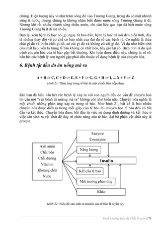 Dinh Dưỡng Học Bị Thất Truyền | 75
chứng. Hiện tƣợng này ví nhƣ trăm sông đổ vào Trƣờng Giang, trong đó có một nhánh
sông ít nƣớc, nhƣng chúng ta không nhận biết đƣợc nƣớc sông Trƣờng Giang ít đi.
Nhƣng khi rất nhiều nhánh sông thiếu nƣớc, chỉ cần liếc qua bạn đã biết nƣớc sông
Trƣờng Giang bị ít đi rất nhiều.
Bạn lại xem bệnh lý học nói gì, ngay từ ban đầu, bệnh lý học đã nói đến biến tính, đây
là những thay đổi về cơ chế cơ bản nhất của đại đa số các bệnh lý. Có nghĩa là thừa
chất gì đó và thiếu chất gì đó, có cái gì đó và không có cái gì đó. Ví dụ nhƣ biến tính
của chất béo, vốn là trong tế bào không có chất béo, bây giờ lại có. Biến tính là do quá
trình chuyển hóa của tế bào gặp bất thƣờng. Khi hiểu đƣợc điều này, chúng ta sẽ rõ:
hầu hết các bệnh lý con ngƣời gặp phải đều thuộc về dạng bệnh lý của chuyển hóa.
6. Bệnh tật đều do ăn uống mà ra
A + B -> C, C + D -> E, E + F -> G, G + H -> I, ... X + Y -> Z
Hình 21: Phản ứng trong tế bào là một chuối liên tiếp nhau
Khi bạn đã hiểu hầu hết các bệnh lý xảy ra với con ngƣời đều do vấn đề chuyển hóa
thì câu nói “vạn bệnh từ miệng mà ra” không còn khó hiểu nữa. Chuyển hóa nghĩa là
một chuỗi những phản ứng xảy ra trong tế bào. Nhƣ hình 21, bất kể là bao nhiêu
chuyển hóa đƣợc diễn ra trong mỗi giây của tế bào thì chuyển hóa tế bào đều có bắt
đầu và kết thúc. Chuyển hóa đƣợc bắt đầu từ việc sử dụng dinh dƣỡng và kết thúc ở
việc sản sinh ra vật chất để duy trì chức năng của tế bào, đại bộ phận vật chất này là
protein.
Hĩnh 22: Biểu đồ sản sinh ra insulin của tế bào B tuyến tụy
Enzyme
Coenzyme
Năng lƣợng
Insulin
Kết cấu tế bào
Môi trƣờng phản ứng
Khác
Axit amin
Chất béo
Chất đƣờng
Vitamin
Khoáng chất
Nƣớc
 