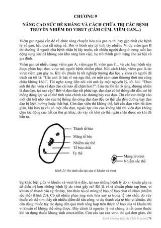 Dinh Dưỡng Học Bị Thất Truyền | 78
CHƢƠNG 9
NÂNG CAO SỨC ĐỀ KHÁNG VÀ CÁCH CHỮA TRỊ CÁC BỆNH
TRUYỀN NHIỄM DO VIRUT (CẢM CÚM, VIÊM GAN...)
Viêm gan ngoài vấn đề về chức năng chuyển hóa của gan ra thì hay gặp nhất các bệnh
lý về gan, hậu quả rất nặng nề. Bởi vì bệnh này có tính lây nhiễm. Ví dụ viêm gan B
thì thƣờng là ngƣời nhà bệnh nhân bị lây trƣớc, rất nhiều ngƣời đang ở trong tuổi lao
động sung sức đã không còn khả năng làm việc, họ trở thành gánh nặng cho xã hội và
gia đình.
Viêm gan có nhiều dạng: viêm gan A, viêm gan B, viêm gan C... và các loại bệnh này
đƣợc phân loại theo virut mà ngƣời bệnh nhiễm phải. Nói cách khác, viêm gan là do
virut viêm gan gây ra. Khi tôi chuẩn bị tốt nghiệp trƣờng đại học y khoa có ngƣời đã
trách cứ tôi là: “Các anh là bác sĩ mà ngu thế, có mỗi cảm cúm thƣờng thôi mà cũng
chữa không khỏi”. Tôi nghe xong liền nói với anh ấy một nguyên lý, tôi hỏi: “Theo
anh thì đạn viên và đạn đạo cái nào dễ chặn hơn?”. Câu trả lời rất rõ ràng, đƣơng nhiên
là đạn đạo, tại sao vậy? Bởi vì đạn đạo rất phức tạp, đạn đạo có hệ thống chỉ dẫn, có hệ
thống động lực và có thể tính toán chính xác đƣờng bay của đạn. Chỉ cần can thiệp vào
một chi tiết nhỏ nào của hệ thống tấn công đạn đạo đều có thể dẫn đến đƣờng bay đạn
đạo bị lệch hƣớng hoặc thất bại. Còn đạn viên thì không thế, kết cấu đạn viên rất đơn
giản, khi bắn ra chỉ có một đầu đạn, ngoài lực cản của không khí thì viên đạn không
chịu tác động của bất cứ thứ gì khác, do vậy rất khó có thể ngăn chặn đƣợc nó khi đã
bắn ra.
Hình 23: So sánh cấu tạo của vi khuẩn và virut
Sự khác biệt giữa vi khuẩn và virut là ở đây, tại sao những bệnh lý do vi khuân gây ra
dễ điều trị hơn những bệnh lý do virut gây ra? Đó là vì vi khuẩn phức tạp hơn, vi
khuẩn có thành bảo vệ rất dày, bản thân nó có màng tế bào, tế bào chất và nhân (nhiễm
sắc thể) (Hình 23). Có rất nhiều phản ứng sinh hóa xảy ra trong tế bào chất, do vậy
thuốc có thể tìm thấy rất nhiều điểm để tấn công, ví dụ thành của tế bào vi khuẩn, chỉ
cần dùng thuốc tây tác dụng đến quá trình tổng hợp trên thành tế bào của vi khuẩn thì
vi khuẩn sẽ không thể sống đƣợc. Đây chính là nguyên lý mà chúng ta rất quen thuộc
khi sử dụng thuốc kháng sinh amoxicillin. Còn cấu tạo của virut thì quá đơn giản, chỉ
Thành tế bào
Màng tế bào
Nhiễm sắc thể
Tế bào chất
Ty thể
Màng protein
Nhiễm sắc thể
 