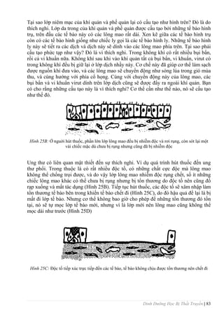 Dinh Dưỡng Học Bị Thất Truyền | 83
Tại sao lớp niêm mạc của khí quản và phế quản lại có cấu tạo nhƣ hình trên? Đó là do
thích nghi. Lớp da trong của khí quản và phế quản đƣợc cấu tạo bởi những tế bào hình
trụ, trên đầu các tế bào này có các lông mao rất dài. Xen kẽ giữa các tế bào hình trụ
còn có các tế bào hình giống nhƣ chiếc ly gọi là các tế bào hình ly. Những tế bào hình
ly này sẽ tiết ra các dịch và dịch này sẽ dính vào các lông mao phía trên. Tại sao phải
cấu tạo phức tạp nhƣ vậy? Đó là vì thích nghi. Trong không khí có rất nhiều bụi bẩn,
rồi cả vi khuẩn nữa. Không khí sau khi vào khí quản tất cả bụi bẩn, vi khuẩn, virut có
trong không khí đều bị giữ lại ở lớp dịch nhầy này. Cơ chế này đã giúp cơ thể làm sạch
đƣợc nguồn khí đƣa vào, và các lông mao sẽ chuyển động nhƣ sóng lúa trong gió mùa
thu, và cùng hƣớng với phía cổ họng. Cùng với chuyển động này của lông mao, các
bụi bẩn và vi khuẩn virut dính trên lớp dịch cũng sẽ đƣợc đẩy ra ngoài khí quản. Bạn
có cho rằng những cấu tạo này là vì thích nghi? Cơ thể cần nhƣ thế nào, nó sẽ cấu tạo
nhƣ thế đó.
Hình 25B: Ở nguời hút thuốc, phần lớn lớp lông mao đều bị nhiễm độc và rơi rụng, còn sót lại một
vài chiếc mặc dù chƣa bị rụng nhƣng cũng đã bị nhiễm độc
Ung thƣ có liên quan mật thiết đến sự thích nghi. Ví dụ quá trình hút thuốc đến ung
thƣ phổi. Trong thuộc lá có rất nhiều độc tố, có những chất cực độc mà lông mao
không thể chống trọi đƣợc, và do vậy lớp lông mao nhiễm độc rụng chết, số ít những
chiếc lông mao khác có thể chƣa bị rụng nhƣng bị tổn thƣơng do độc tố nên cũng đổ
rạp xuống và mất tác dụng (Hình 25B). Tiếp tục hút thuốc, các độc tố sẽ xâm nhập làm
tổn thƣơng tế bào bên trong khiến tế bào chết đi (Hình 25C), do đó hậu quả để lại là bị
mất đi lớp tế bào. Nhƣng cơ thể không bao giờ cho phép để những tổn thƣơng đó tồn
tại, nó sẽ tự mọc lớp tế bào mới, nhƣng vì là lớp mới nên lông mao cũng không thể
mọc dài nhƣ trƣớc (Hình 25D)
Hình 25C: Độc tố tiếp xúc trực tiếp đến các tế bào, tế bào không chịu đƣợc tổn thƣơng nên chết đi
 