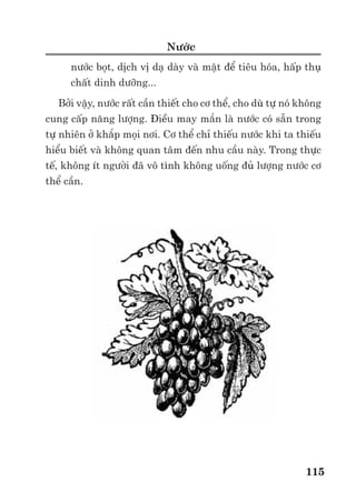 Trư ng ð i h c Nông nghi p 1 - Giáo trình B o qu n nông s n --------------------------------------------- 108
Ho c có th ch t o màng g m nhi u l p gi ng nhau xen k v i các l p khác ho c v t li u
khác như PS/PVC/PS; PP/PVC/PP trong ñó PS, PP làm cho bao bì c ng, còn PVC có ch c năng
b o v th c ph m.
Hi n nay Châu Âu ñã và ñang có ch trương dùng lo i bao bì tái ch , tr ng lư ng nh ñ
kh c ph c b t s ô nhi m c a môi trư ng do v t th i bao bì. Ví d Hà Lan lo i bao bì nh
chi m hơn 15-20% so v i bao bì bình thư ng, trong ñó v t li u tái sinh 50-65% và v t li u tái s
d ng 25-45%. Ngư i ta ñang c g ng s n xu t lo i bao bì 100% có kh năng tái s d ng và tái
s n xu t. Chính t ñây m i sinh ra thu t ng “ H th ng bao bì tái s d ng”.
3.4. Bao bì m t s m t hàng nông s n
a) Bao bì cho các lo i nông s n tươi s ng
Rau qu tươi ñư c bao gói trong các bao bì làm t v t li u tre, n a, g theo kh i vuông, kh i
tr ho c hình ch nh t v i dung tích 20 – 30kg. Các lo i bao bì này thư ng ñư c dùng b o qu n
rau xanh, b p c i... Nho thư ng ñư c dùng trong làn mây s i nh n v i kh i lư ng 2-10 kg. ð
tránh b va ñ p, xây xát trong v n chuy n nh t thi t ph i có v t li u ñ m dư i ñáy gi , ho c
gi a các l p qu . V t li u ñ m thư ng thư ng là rơm r , phoi bào ho c gi y m m sau khi ñã làm
s ch, khô. Ngoài ra hoa qu xu t kh u ngư i ta còn b c t ng qu cam, quít, lê, táo, xoài... b ng
gi y t m axit sorbic, gi y tráng paratin, PE có in màu s c ñ p.
Hình 4.7. Tuí lư i ch t d o dùng ñ bao gói qu
Khi cho rau qu vào bao bì c n x p theo th t nh t ñ nh, ñ ch t v a ph i, không l ng l o,
cũng không ñư c nén ch t sao cho cu ng, g c c a chúng không ch m vào qu , lá. Các lo i qu ,
c ch u tác ñ ng bên ngoài t t như bí ngô, bí xanh, su hào, khoai s n có th ñ ñ ng trong
container ho c trong toa xe ñ v n chuy n ñư ng dài.
Th t tươi, th t ư p có th treo trên các móc trong container ho c trong xe t i chuyên dùng
ch th t tươi s ng, các móc treo ph i cách nhau 3 – 5 cm ñ b o ñ m ñ thoáng cho kh i th t.
Cũng có th ñ ng th t trong các h p, khay, túi PE s ch, khô.
Cá s ng thư ng ñư c ch a vào các thùng phi, chum, ang, stéc, b xi măng v i m t s nư c
nh t ñ nh, không ñ y kín và có thi t b s c khí kèm theo..
Tr ng tươi ñư c x p riêng t ng lô (x p ñ nh v ) trong các thùng g , s t tre, n a thoáng khí
có chèn n m m m xung quanh (c , rơm, phôi bào). Các v t li u ñ m cũng ph i kh trùng, s y
khô. Khi v n chuy n ñi xa tr ng thư ng ñư c ñóng gói vào khay nh a, gi y x p có s n các h c
v i kích thư c c a qu tr ng, sau ñó ñ t vào h p có chèn ñ m.
Bao bì dùng ñ b o qu n s a tươi là các lo i chai, l , bình, túi b ng v t li u th y tinh ho c
ch t d o ho c gi y b c PE, thùng b ng Inox ho c kim lo i tráng Inox.
 