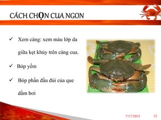 Dinh duong trong cua  powerpoint template Slide 12