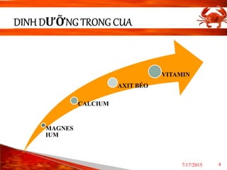 Dinh duong trong cua  powerpoint template Slide 4