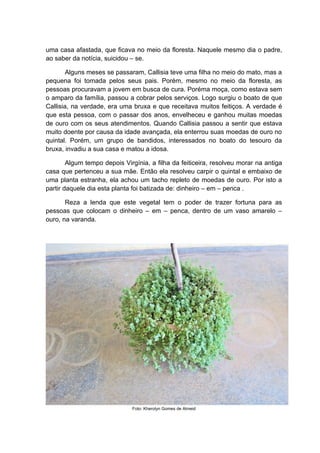 uma casa afastada, que ficava no meio da floresta. Naquele mesmo dia o padre,
ao saber da notícia, suicidou – se.

        Alguns meses se passaram, Callisia teve uma filha no meio do mato, mas a
pequena foi tomada pelos seus pais. Porém, mesmo no meio da floresta, as
pessoas procuravam a jovem em busca de cura. Poréma moça, como estava sem
o amparo da família, passou a cobrar pelos serviços. Logo surgiu o boato de que
Callisia, na verdade, era uma bruxa e que receitava muitos feitiços. A verdade é
que esta pessoa, com o passar dos anos, envelheceu e ganhou muitas moedas
de ouro com os seus atendimentos. Quando Callisia passou a sentir que estava
muito doente por causa da idade avançada, ela enterrou suas moedas de ouro no
quintal. Porém, um grupo de bandidos, interessados no boato do tesouro da
bruxa, invadiu a sua casa e matou a idosa.

        Algum tempo depois Virgínia, a filha da feiticeira, resolveu morar na antiga
casa que pertenceu a sua mãe. Então ela resolveu carpir o quintal e embaixo de
uma planta estranha, ela achou um tacho repleto de moedas de ouro. Por isto a
partir daquele dia esta planta foi batizada de: dinheiro – em – penca .

       Reza a lenda que este vegetal tem o poder de trazer fortuna para as
pessoas que colocam o dinheiro – em – penca, dentro de um vaso amarelo –
ouro, na varanda.




                              Foto: Kherolyn Gomes de Almeid
 