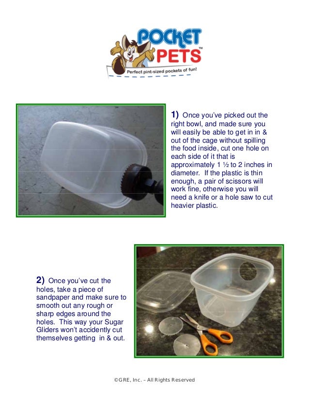 sugar glider dining room