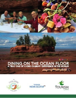 DINING ON THE OCEAN FLOOR
A TRULY ONE OF A KIND CULINARY EXPERIENCE IN THE WORLD!
 