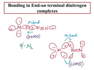 Bonding in End-on terminal dinitrogen
complexes
 