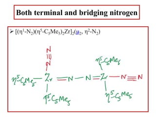 Both terminal and bridging nitrogen
 [(η1-N2)(η5-C5Me5)2Zr]2(μ2, η2-N2)
 