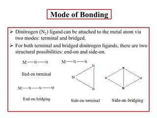 Mode of Bonding
 Dinitrogen (N2) ligand can be attached to the metal atom via
two modes: terminal and bridged.
 For both terminal and bridged dinitrogen ligands, there are two
structural possibilities: end-on and side-on.
 