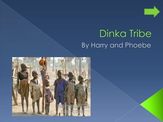 Dinka Tribe  By Harry and Phoebe 