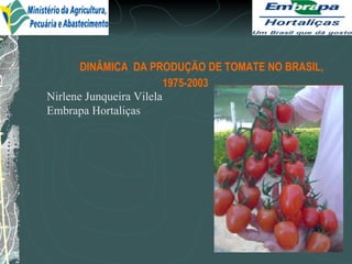 DINÂMICA  DA PRODUÇÃO DE TOMATE NO BRASIL,  1975-2003 Nirlene Junqueira Vilela Embrapa Hortaliças 