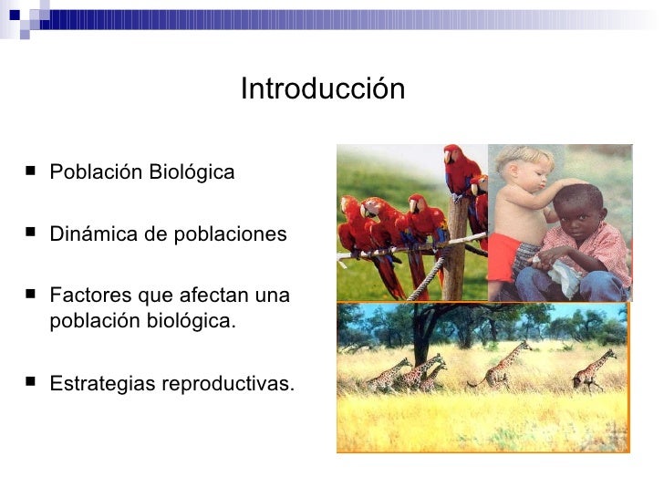 DináMica De Poblaciones DináMica De Poblaciones