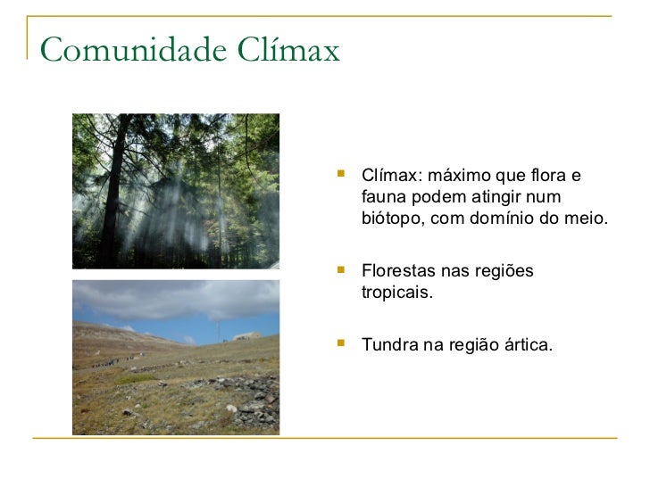 O Que Significa A Expressao Comunidade Climax