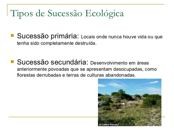 Uma Diferença Entre Sucessão Primária E Sucessão Secundária é
