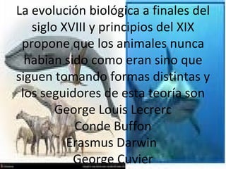 La evolución biológica a finales del siglo XVIII y principios del XIX propone que los animales nunca habian sido como eran sino que siguen tomando formas distintas y los seguidores de esta teoría son George Louis Lecrerc Conde Buffon Erasmus Darwin  George Cuvier 