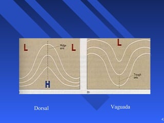 42
Dorsal Vaguada
 