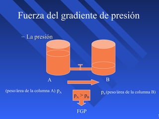 5
Fuerza del gradiente de presión
– La presiónLa presión
(peso/área de la columna A) pA
A
pB (peso/área de la columna B)
B
pA > pB
FGP
 