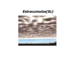 Estracumulos(Sc) 