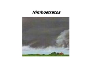 Nimbostratos 