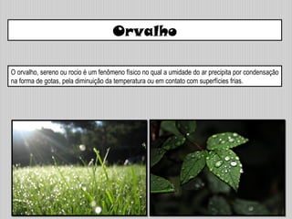 Orvalho
O orvalho, sereno ou rocio é um fenômeno físico no qual a umidade do ar precipita por condensação
na forma de gotas, pela diminuição da temperatura ou em contato com superfícies frias.
 