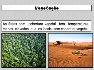 Vegetação
As áreas com cobertura vegetal tem temperaturas
menos elevadas que os locais sem cobertura vegetal.
 