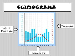 CLIMOGRAMA
Temperatura
Índice de
Precipitação
Meses do ano
 