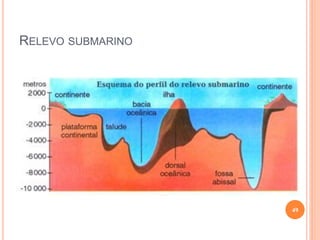 RELEVO SUBMARINO




                   49
 