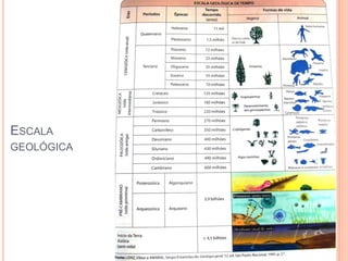 ESCALA
GEOLÓGICA




            5
 