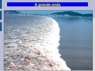 A grande onda
 