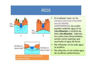 RÍOS
                                 • En cualquier caso, un río
                                   siempre está muy vinculado
                                   con las AGUAS
                                   SUBTERRÁNEAS, los cuales
                                   pueden cederles agua al río
                                   (río influente) o recibirla de
                                   ellos (río efluente). Además,
                                   los suelos bien desarrollados,
                                   actúan como esponjas que
                                   acumulan el agua de lluvia.
                                 • Río influente: el río cede agua
                                   al acuífero.
                                 • Río efluente: el río recibe agua
                                   de acuíferos subterráneos.
LOS RÍOS REGULAN SU CAUCE DE
MODO NATURAL
 