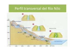 Perfil transversal del Río Nilo
 
