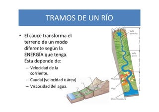 TRAMOS DE UN RÍO

• El cauce transforma el
  terreno de un modo
  diferente según la
  ENERGÍA que tenga.
  Ésta depende de:
   – Velocidad de la
     corriente.
   – Caudal (velocidad x área)
   – Viscosidad del agua.
 