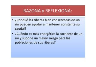 RAZONA y REFLEXIONA:
• ¿Por qué las riberas bien conservadas de un
  río pueden ayudar a mantener constante su
  caudal?
• ¿Cuándo es más energética la corriente de un
  río y supone un mayor riesgo para las
  poblaciones de sus riberas?
 