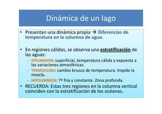 Dinámica de un lago
• Presentan una dinámica propia Diferencias de
  temperatura en la columna de agua.

• En regiones cálidas, se observa una estratificación de
  las aguas:
   – EPILIMNION: superficial, temperatura cálida y expuesta a
     las variaciones atmosféricas.
   – TERMOCLINA: cambio brusco de temperatura. Impide la
     mezcla.
   – HIPOLIMNION: Tª fría y constante. Zona profunda.
• RECUERDA: Estas tres regiones en la columna vertical
  coinciden con la estratificación de los océanos.
 