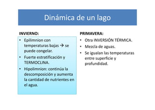 Dinámica de un lago
INVIERNO:                        PRIMAVERA:
• Epilimnion con                 • Otra INVERSIÓN TÉRMICA.
  temperaturas bajas se          • Mezcla de aguas.
  puede congelar.                • Se igualan las temperaturas
• Fuerte estratificación y         entre superficie y
  TERMOCLINA.                      profundidad.
• Hipolimnion: continúa la
  descomposición y aumenta
  la cantidad de nutrientes en
  el agua.
 