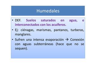 Humedales
• DEF. Suelos saturados en agua, e
  interconectados con los acuíferos.
• Ej: ciénagas, marismas, pantanos, turberas,
  manglares.
• Sufren una intensa evaporación     Conexión
  con aguas subterráneas (hace que no se
  sequen).
 
