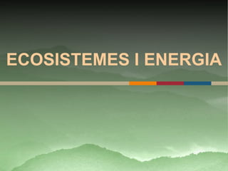 ECOSISTEMES I ENERGIA
 