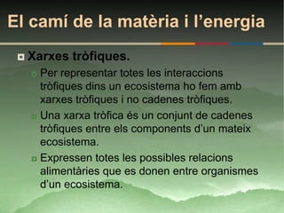 El camí de la matèria i l’energia
    Xarxes tròfiques.
      Per representar totes les interaccions
       tròfiques dins un ecosistema ho fem amb
       xarxes tròfiques i no cadenes tròfiques.
      Una xarxa tròfica és un conjunt de cadenes

       tròfiques entre els components d’un mateix
       ecosistema.
      Expressen totes les possibles relacions

       alimentàries que es donen entre organismes
       d’un ecosistema.
 