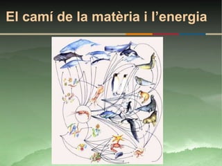 El camí de la matèria i l’energia
 