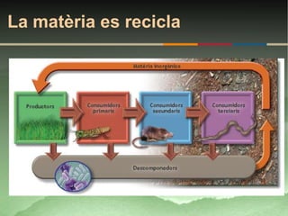 La matèria es recicla
 