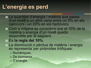 L’energia es perd
  La quantitat d’energia i matèria que passa
   d’un nivell a un altre varia entre un 5% en els
   carnívors i un 20% en els herbívors.
  Com a mitjana es considera que el 10% de la
   matèria o energia d’un nivell queda
   disponible per al següent.
  És la regla del 10%.
  La disminució o pèrdua de matèria i energia
   es representa`per piràmides tròfiques:
        Numèriques.
        De biomassa.
        D’energia.
 