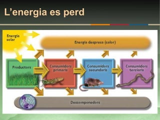 L’energia es perd
 