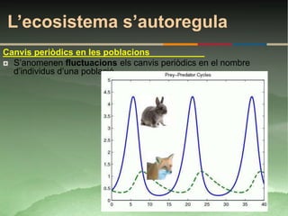 L’ecosistema s’autoregula
Canvis periòdics en les poblacions
 S’anomenen fluctuacions els canvis periòdics en el nombre
  d’individus d’una població.
 