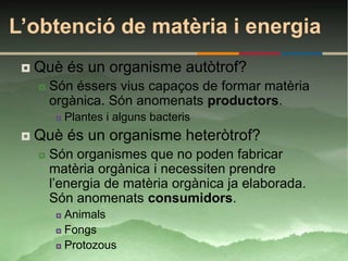 L’obtenció de matèria i energia
    Què és un organisme autòtrof?
        Són éssers vius capaços de formar matèria
         orgànica. Són anomenats productors.
             Plantes i alguns bacteris
    Què és un organisme heteròtrof?
        Són organismes que no poden fabricar
         matèria orgànica i necessiten prendre
         l’energia de matèria orgànica ja elaborada.
         Són anomenats consumidors.
           Animals
           Fongs

           Protozous
 