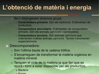 L’obtenció de matèria i energia
        Se’n distingeixen diversos grups:
             Consumidors primaris. Són els herbívors. S’alimenten de
              productors.
             Consumidors secundaris. S’alimenten de consumidors
              primaris. Són els animals carnívors i carronyaires.
             Consumidors terciaris. Són animals carnívors que
              s’alimenten d’altres animals carnívors. També s’anomenen
              supercarnívors.
    Descomponedors:
        Són l’última baula de la cadena tròfica.
        S’encarreguen de transformar la matèria orgànica en
         matèria mineral.
        Tanquen el cicle de la matèria ja que fan que es
         recicli i torni a estar disponible per als productors.
             Bacteris
 