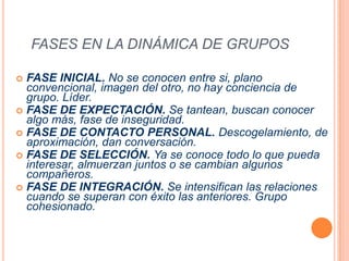 FASES EN LA DINÁMICA DE GRUPOSFASE INICIAL. No se conocen entre si, plano convencional, imagen del otro, no hay conciencia de grupo. Líder.FASE DE EXPECTACIÓN. Se tantean, buscan conocer algo más, fase de inseguridad.FASE DE CONTACTO PERSONAL. Descogelamiento, de aproximación, dan conversación.FASE DE SELECCIÓN. Ya se conoce todo lo que pueda interesar, almuerzan juntos o se cambian algunos compañeros.FASE DE INTEGRACIÓN. Se intensifican las relaciones cuando se superan con éxito las anteriores. Grupo cohesionado.