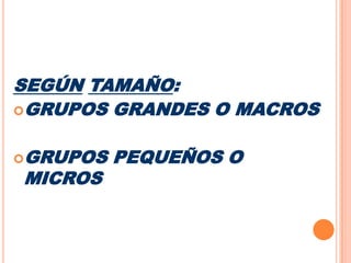 SEGÚNTAMAÑO:GRUPOS GRANDES O MACROSGRUPOS PEQUEÑOS O MICROS