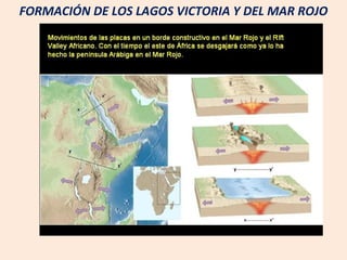 FORMACIÓN DE LOS LAGOS VICTORIA Y DEL MAR ROJO 