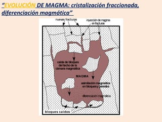 “ EVOLUCIÓN  DE MAGMA: cristalización fraccionada, diferenciación magmática”  