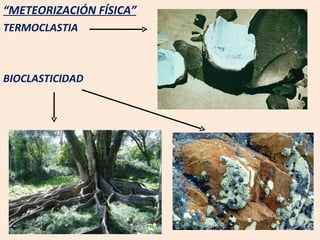 “ METEORIZACIÓN FÍSICA”   TERMOCLASTIA BIOCLASTICIDAD 